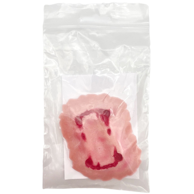 Plaie filet morsure de chien