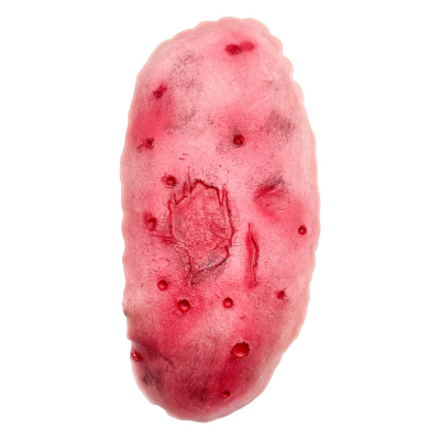 Plaie filet polycriblage