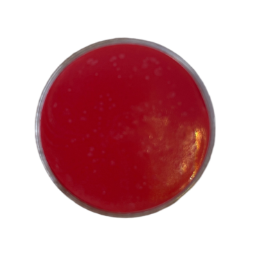 Fard crème 7ml