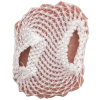 Plaie filet morsure de chien