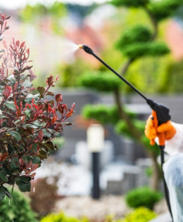 produit contre insectes