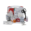 Valise de secours Peintre