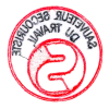 Écusson SST brodé