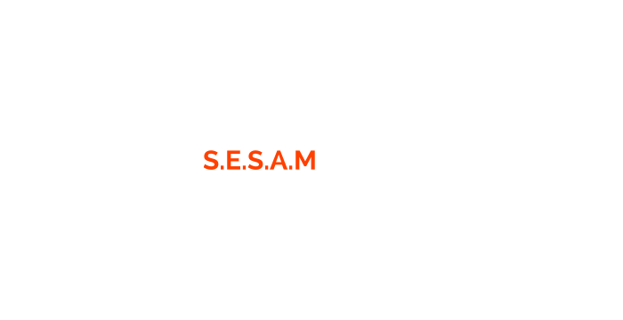 SESAM SFX PRO