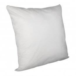 Oreiller 55 x 55cm lot de 2